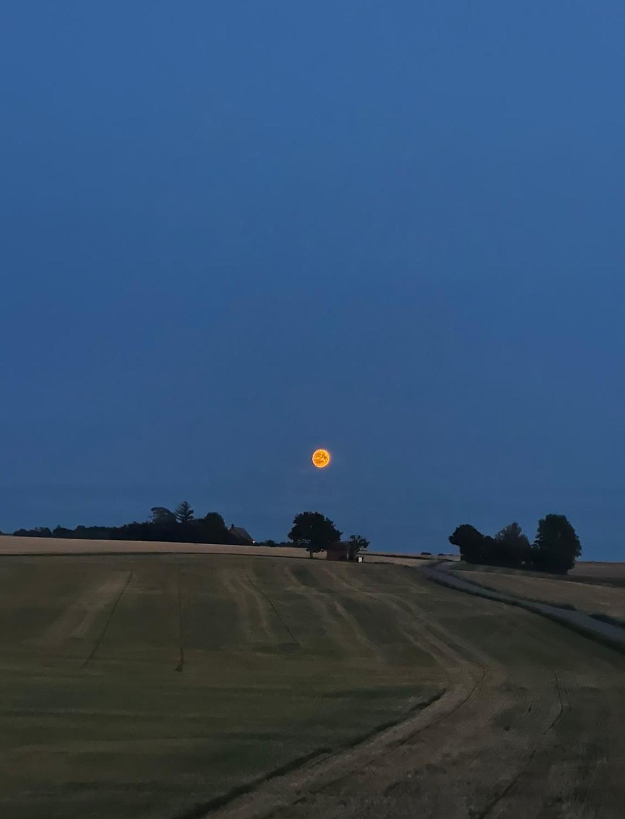 Gaesthus I Naturskoent Laege Genarp المظهر الخارجي الصورة